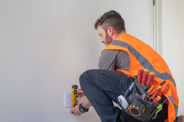 Best Ceiling Fan Installation Electrician  in Ravenna, MI