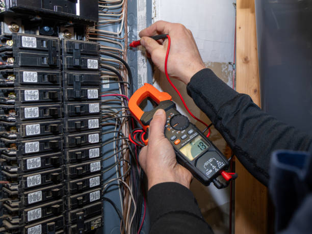 Best Home Electrical Repair  in Ravenna, MI