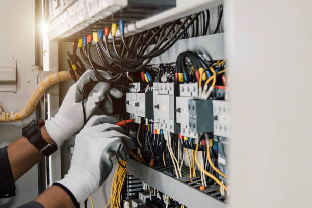 Best Home Electrical Repair  in Ravenna, MI